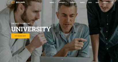 How Instructor Feature Works in LearnPress