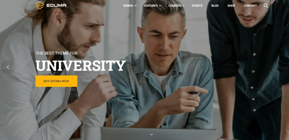Web Instructor Pro How Instructor Feature Works in LearnPress