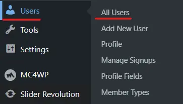 Users All Users