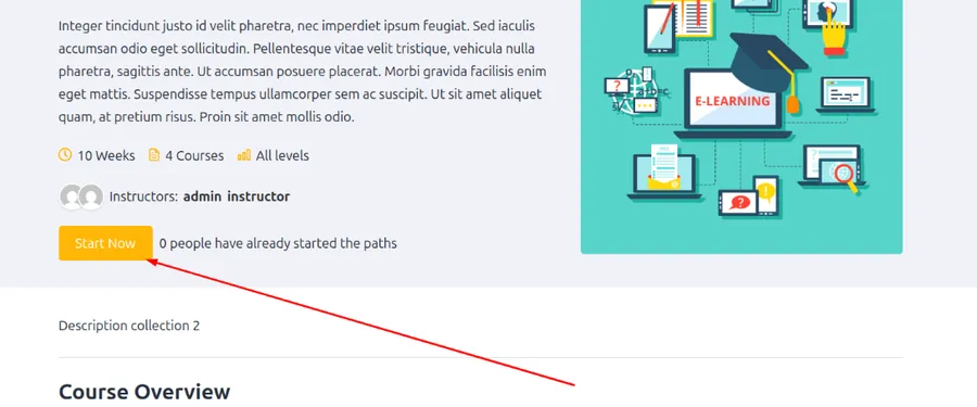 Start Now Learning Path